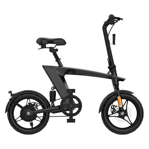 EA14H1 250W Removable Battery Mini folding Electric City Adults Hybrid E-bike