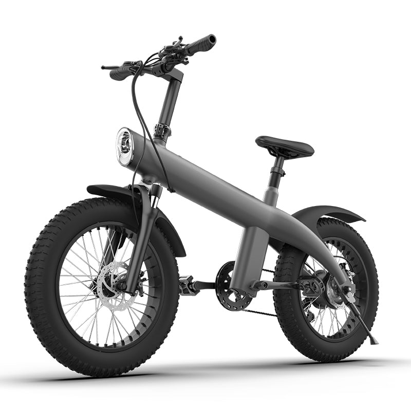 EA20Q3 750W 20*4.0 Inch Fat Tire All-terrain Off-Road Electric Bicycle