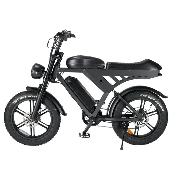 EA20V30 20 Inch Fat Tire Double Battery Variable Speed Power Mountain Beach Lithium Electric Bicycle