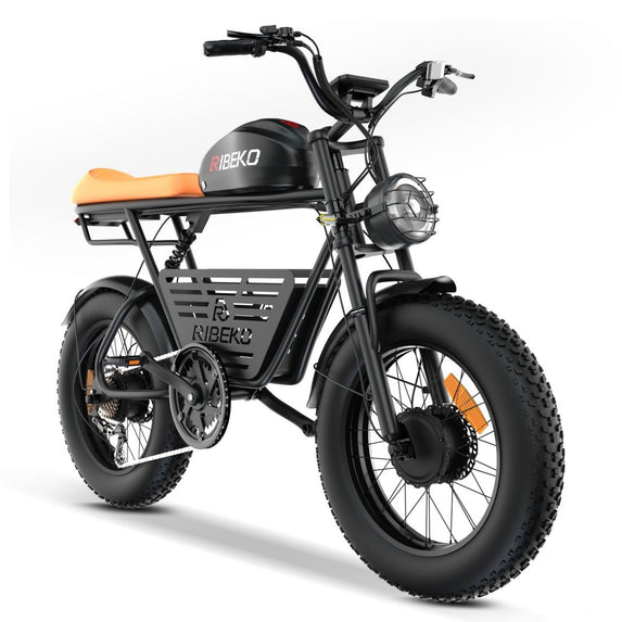 EA20ZM25 Adult 1500W 20" Fat Tire Electric Bike Dual Motor Mountain EBike, 48V 25Ah Removable Battery, 7 Speed Hydraulic Brakes